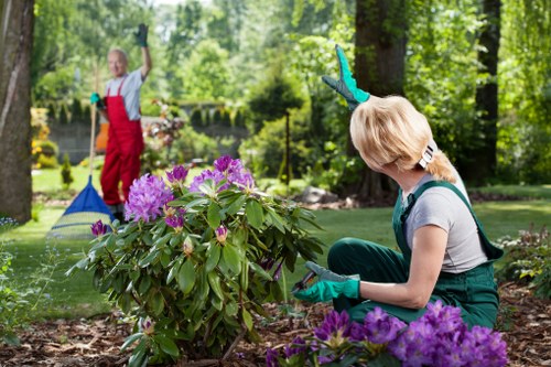 Beautiful Clapham garden with vibrant flowers and greenery