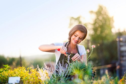 Quality hedge trimming tools and techniques