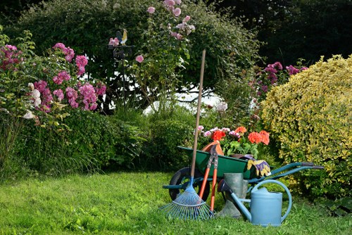 Beautifully trimmed hedges enhancing garden aesthetics
