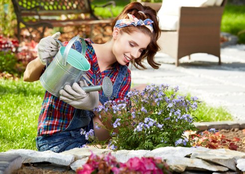 Lawn mowing equipment and freshly cut grass in a Clapham garden