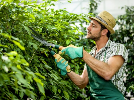 Eco-friendly lawn mowing practices in Clapham