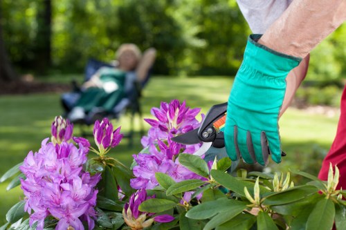 Eco-friendly decking solutions in Clapham