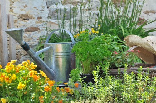 Lush lawn maintenance services in Clapham