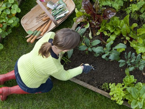 Seasonal maintenance activities in a Clapham landscape garden