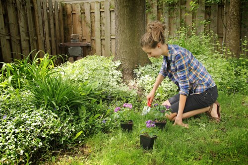 Garden layout planning for a Clapham landscape