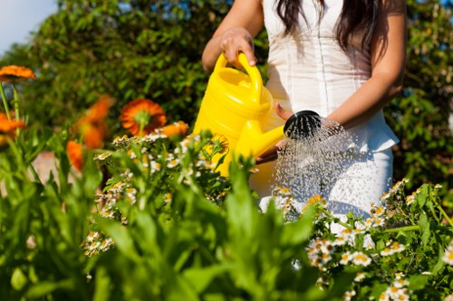 Expert gardener shaping hedges in Clapham