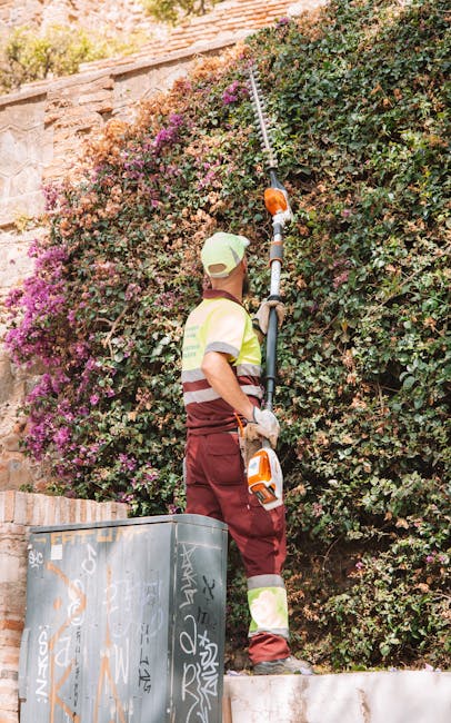 A gardener wearing a beige cap, high-visibility vest, and maroon trousers is trimming a dense, flowering hedge using an extendable pruning tool. The hedge features a mix of green leaves and clusters o