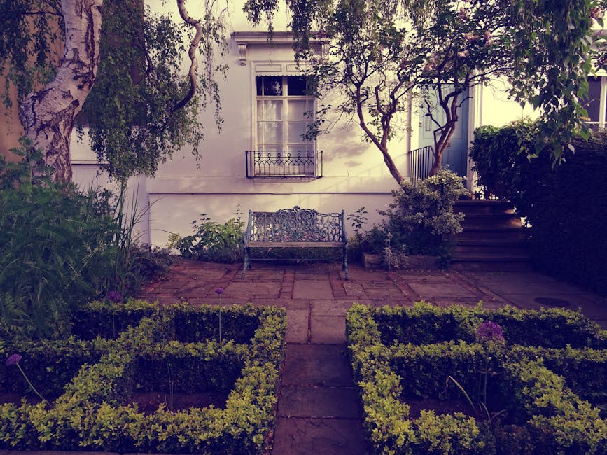 Close-up view of a garden photographed under bright natural sunlight, showcasing a neatly maintained lawn with lush, green grass. In the background, there are well-trimmed hedges and small trees, indi